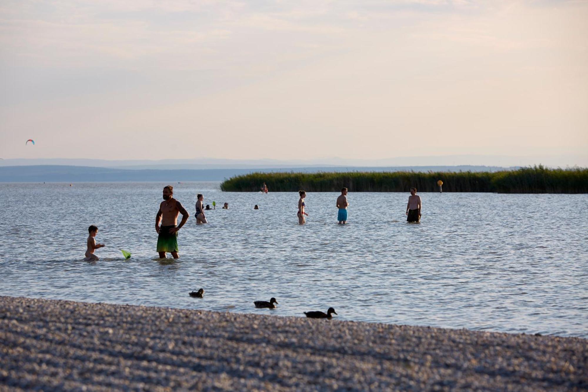Seewirt & Haus Attila Podersdorf am See Exteriör bild