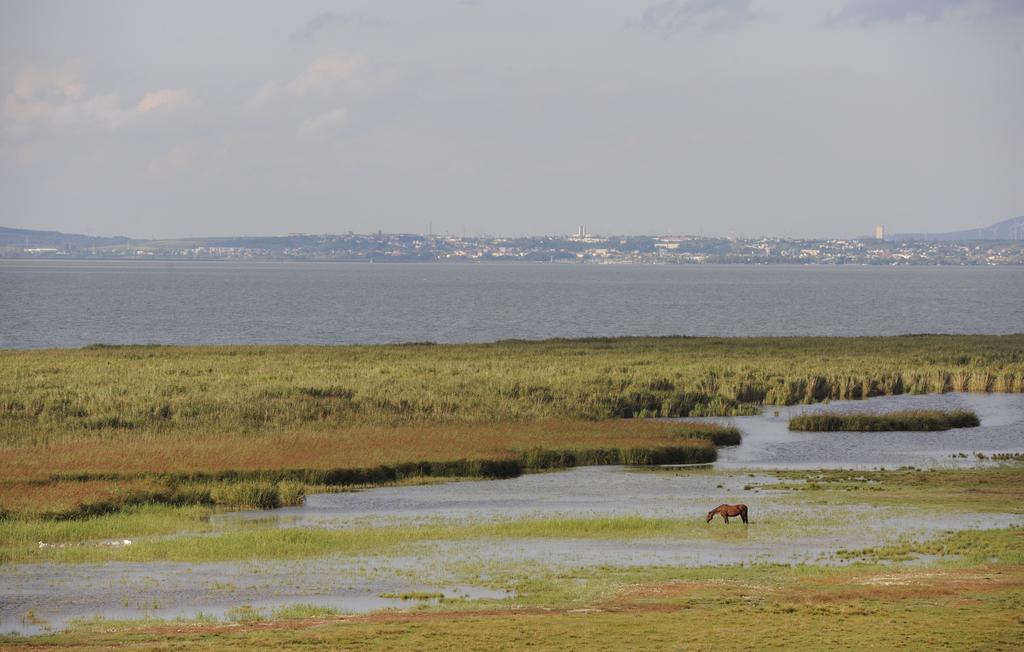 Seewirt & Haus Attila Podersdorf am See Exteriör bild